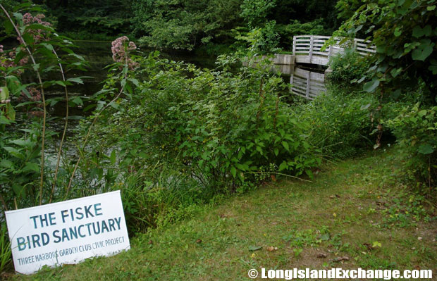 Lloyd Harbor Fiske Bird Sanctuary