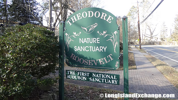 Oyster Bay Cove Street