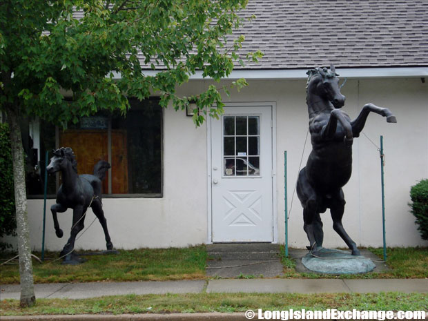 Westhampton Beach Wild Horses