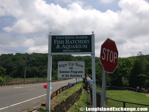 Cold Spring Harbor Fish Hatchery