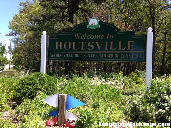 Holtsville Farmingville Chamber Sign