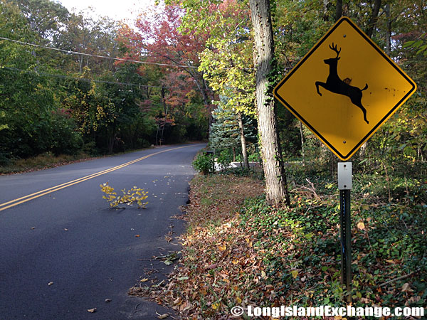 Deer Crossing Sign