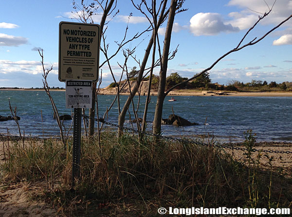 No Motorized Vehicles