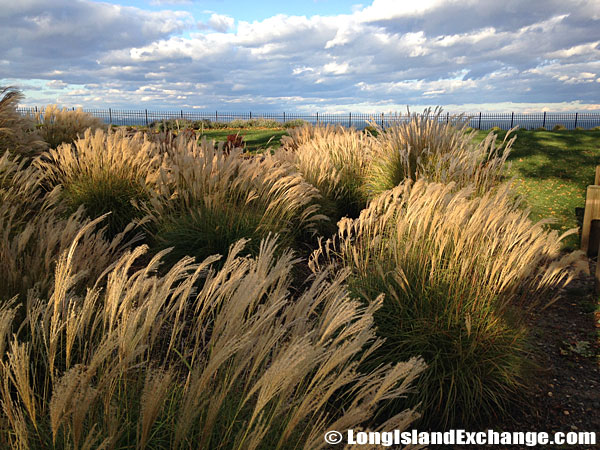 Breathtaking Views Long Island Sound