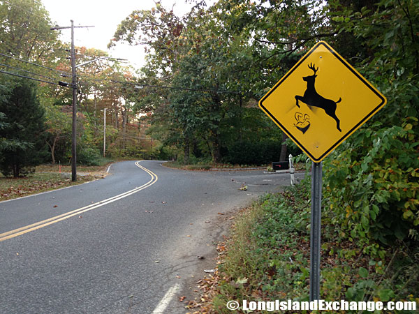 Deer-Crossing