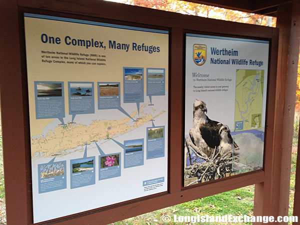 Wertheim National Wildlife Refuge