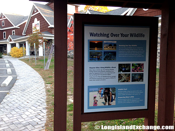 Wertheim National Wildlife Refuge