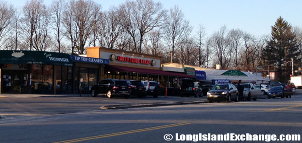 Stores in Lake Success