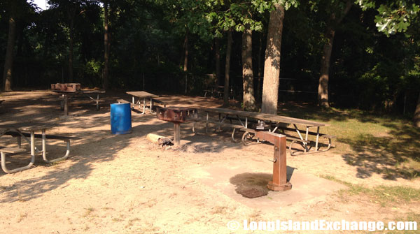 Picnic Barbeque Area