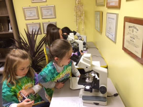 Village East Gifted has over 280 students enrolled in its programs, which are designed to provide a stimulating learning environment facilitating creativity and intellectual growth.