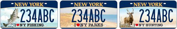 ny-adventure-plates