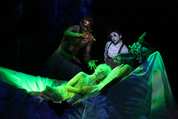 Julie Taymor's A Midsummer's Night Dream