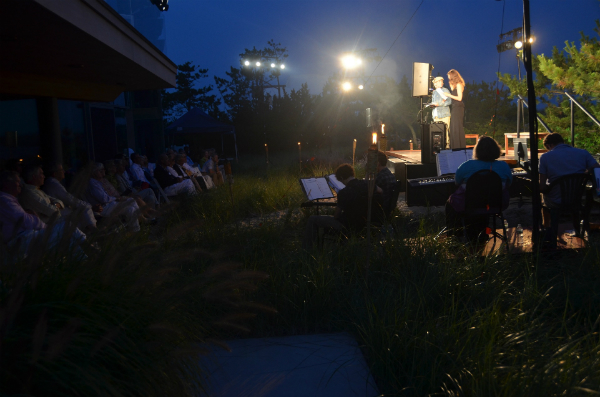 VIPReadingofTwelfthNight