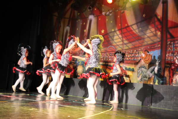 Gold Coast Arts 2