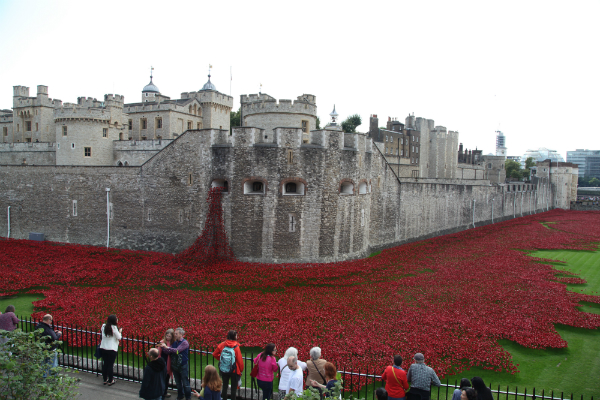Poppies at Tower of London