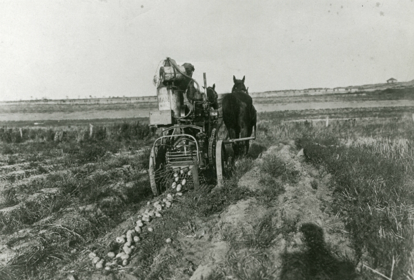 Farming2CourtesyofTheBridgehamptonMuseum