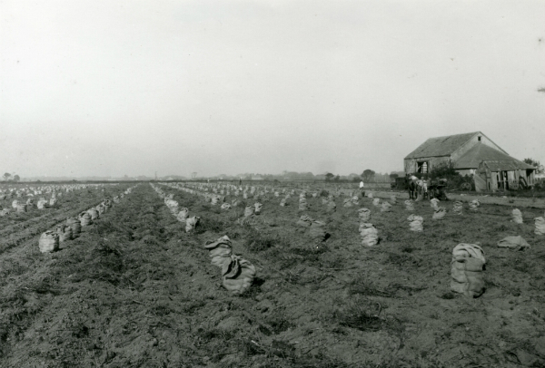 FarmingPhotocourtesyofTheBridgehamptonMuseum