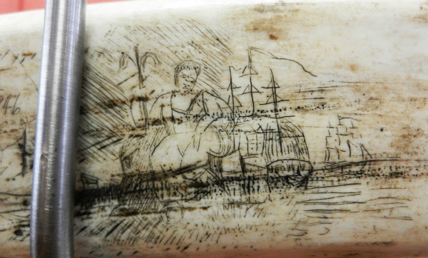 Scrimshaw